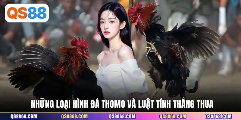 Những loại hình đá Thomo và luật tính thắng thua